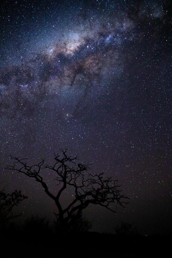 Nedile Lodge Welgevonden Game Reserve Eksteriør bilde
